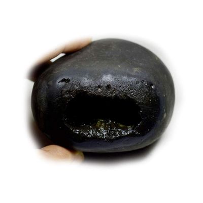 55Carat Original Damodar Shaligram Origin Gandaki River Nepal Idol Lord Vishnu,Fossil Stone For Worship
