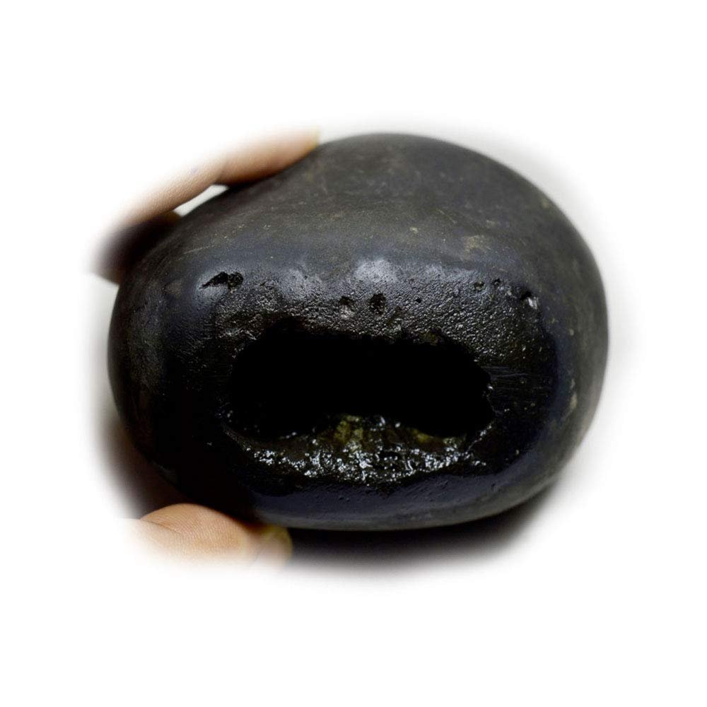 55Carat Original Damodar Shaligram Origin Gandaki River Nepal Idol Lord Vishnu,Fossil Stone For Worship