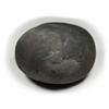 55Carat Original Damodar Shaligram Origin Gandaki River Nepal Idol Lord Vishnu,Fossil Stone For Worship view 4