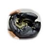55Carat Original Hayagriva Shaligram Origin Gandaki River Nepal For Lord Vishnu,Fossil Stone For Worship view 1