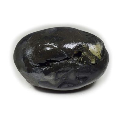 55Carat Original Hayagriva Shaligram Shila Origin From Gandaki River Nepal Idol Lord Vishnu For Worship