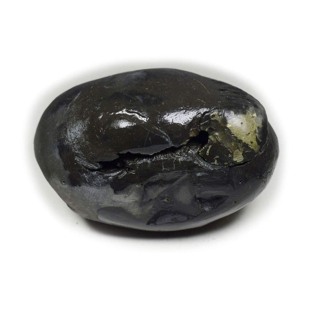 55Carat Original Hayagriva Shaligram Shila Origin From Gandaki River Nepal Idol Lord Vishnu For Worship