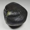 55Carat Original Hayagriva Shaligram Shila Origin From Gandaki River Nepal Idol Lord Vishnu For Worship view 2