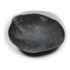55Carat Original Hayagriva Shaligram Shila Origin From Gandaki River Nepal Idol Lord Vishnu For Worship view 3