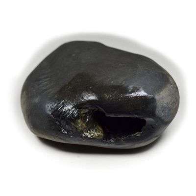 55Carat Original Hayagriva Shaligram Lord Vishnu Shila Origin From Gandaki River Nepal For Fossil Stone