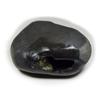 55Carat Original Hayagriva Shaligram Lord Vishnu Shila Origin From Gandaki River Nepal For Fossil Stone view 1