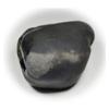 55Carat Original Hayagriva Shaligram Lord Vishnu Shila Origin From Gandaki River Nepal For Fossil Stone view 2