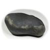 55Carat Original Hayagriva Shaligram Lord Vishnu Shila Origin From Gandaki River Nepal For Fossil Stone view 3
