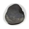 55Carat Original Hayagriva Shaligram Lord Vishnu Shila Origin From Gandaki River Nepal For Fossil Stone view 4