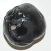 55Carat Original Hayagriva Shaligram Origin Gandaki River Nepal Lord Vishnu Shila A+ Qulaity Fossil Stone view 2