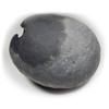 55Carat Vibhishina Maha Jwala Ati Ugra Narsimha Shaligram From Gandaki River For Lord Vishnu A+ Qulaity view 3
