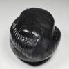 55Carat Original Narayan Shaligram From Gandaki River in Nepal Idol For Lord Vishnu Black Fossil Stone view 2