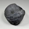 55Carat Original Damodar Shaligram Origin From Gandaki River Nepal Lord Vishnu Shila A+ Qulaity Stone view 3
