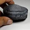55Carat Original Damodar Shaligram Origin From Gandaki River Nepal Lord Vishnu Shila A+ Qulaity Stone view 4