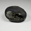 55Carat Original Laxmi Narayan Shaligram From Gandaki River Nepal Lord Vishnu Shila A++ Qulaity Stone view 2