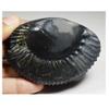 55Carat Original Aditya Shaligram From Gandaki River in Nepal Idol Lord Vishnu Worship Black Fossil Stone view 2