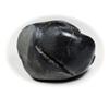 55Carat Original Aditya Shaligram From Gandaki River in Nepal Idol Lord Vishnu Worship Black Fossil Stone view 3