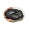 55Carat Original Laxmi narayan Shaligram Origin From Gandaki River Nepal Idol For Lord Vishnu Worship view 1