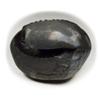 55Carat Original Chakradhari Vishnu Shaligram Shila From Nepal Gandaki River For Lord Vishnu,Fossil Stone view 2
