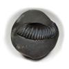 55Carat Original Chakradhari Vishnu Shaligram Shila From Nepal Gandaki River For Lord Vishnu,Fossil Stone view 4