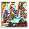Greetings from Lasalle Illinois Fridge Magnet (1.75 x 2.75 inches) view 1