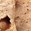 LR Home Natural Jute 6ft Round Area Rug for Home Decor | Braided Rugs for Living Room, Bedroom, Playroom | Bohemian Farmhouse Scalloped Indoor Rug for Room Decor | Tan/Natural view 4