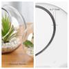 WGV Slant Cut Bowl Glass Vase Bulk, Width 5.5", Height 5.5", Clear Round Globe Planter Terrarium Orb, Candy Dish, Fruit Jar, Floral Container for Home Office Decor, 12 Pieces view 3