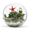 WGV Slant Cut Bowl Glass Vase Bulk, Width 5.5", Height 5.5", Clear Round Globe Planter Terrarium Orb, Candy Dish, Fruit Jar, Floral Container for Home Office Decor, 12 Pieces view 4