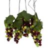 Kurt Adler 100-Light Green and Burgundy LED Grape Light Set with 5 Grape Bunches view 1