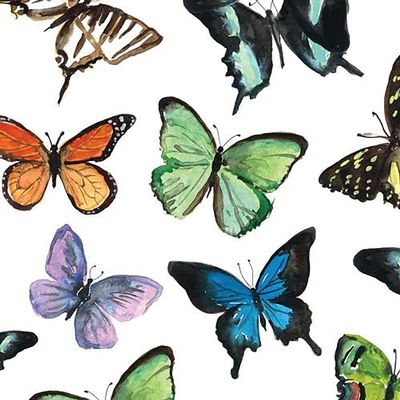 PAPER PRODUCTS DESIGN Mariposa Butterflies Beverage Napkin, 20 CT
