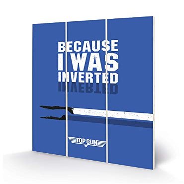 Top Gun Wall Art (Inverted Design) 20cm x 29.5cm - Official Merchandise