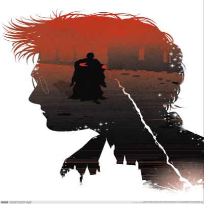 Trends International The Wizarding World: Harry Potter - Inner Struggle Wall Poster, 22.375" x 34", Premium Unframed Version