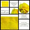 ecomuslinbags 8x12 inches Color Full Cotton Bags, Reusable And Biodegradable Produce Muslin Drawstring Bags Pack Of 25 (Yellow) view 4