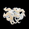 Seahorse Craft Mirrors, Set of 10, Shatterproof Acrylic, 4 X 2.8 inches view 2