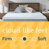 Sealy TrueForm 2" Memory Foam Mattress Topper, Queen view 2