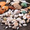 Exceart DIY Beach Shells Natural Shell Decorations Decor Charms for Home Art Craft view 3