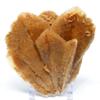 122mm 350g Desert Rose Gypsum Selenite Flower Blades Cluster Natural Gemstone Crystal Mineral Collectible Decor Specimen from Inner Mongolia, China view 1