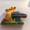 Australia 3D Kangaroo Refrigerator Magnet Resin Travel Souvenirs,Handmade Home & Kitchen Decoration Australia Fridge Magnet Collection Gift view 2