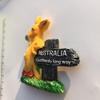 Australia 3D Kangaroo Refrigerator Magnet Resin Travel Souvenirs,Handmade Home & Kitchen Decoration Australia Fridge Magnet Collection Gift view 4