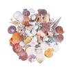 EXCEART 130pcs Mixed Beach Seashells for Candle Making Crafts Home Decor Fish Tank Fillers Natural Nonporous Sea Shells for Wedding and Beach Theme Parties view 1