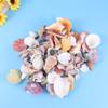 EXCEART 130pcs Mixed Beach Seashells for Candle Making Crafts Home Decor Fish Tank Fillers Natural Nonporous Sea Shells for Wedding and Beach Theme Parties view 3