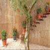 Artevasi Venezia Cilindro Flowerpot 60cm White view 4