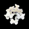 Butterfly Etched Craft Mirrors - Set of 10 - 4 inches X 2 inches view 2