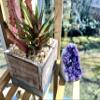 Extreme Rocks & Fossils Natural Amethyst Cluster with Polished Edges [0.75 to 1 lb.] Real Raw Geode Healing Crystal Rock from Uruguay, Deep Purple Decor and a Free Velvet Pouch of Rose Quartz view 3