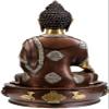 Exotic India Lord Buddha in Bhumisparsha Mudra view 2