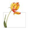 Caspari Redoute Floral Die-Cut Place Cards - 40 Count view 2