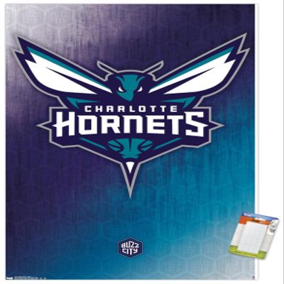 Trends International NBA Charlotte Hornets - Logo 14 Wall Poster, 22.375" x 34", Premium Poster & Mount Bundle