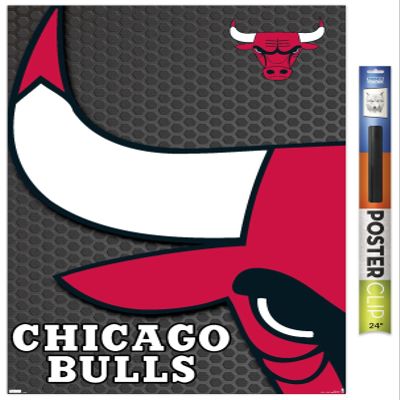 Trends International NBA Chicago Bulls - Logo 14 Wall Poster, 22.375" x 34", Premium Poster & Clip Bundle