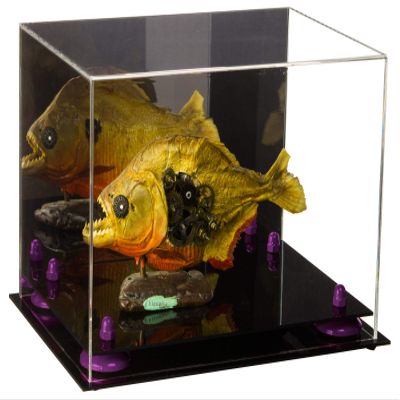 Better Display Cases Versatile Acrylic Display Case - Medium Rectangle Box with Mirror and Purple Risers 12" x 8.25" x 8" (A004-PR)