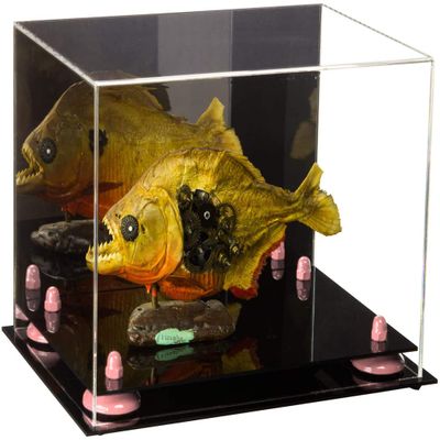 Better Display Cases Versatile Acrylic Display Case - Medium Rectangle Box with Mirror and Pink Risers 12" x 8.25" x 8" (A004-PNR)